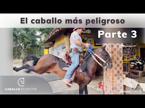 El caballo MÁS PELIGROSO - parte 3 - 🐴🧨🧨ME MONTO EN EL CABALLO - Pablo Saldarriaga