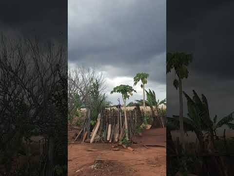 sítio Lagedinho povoado de Riacho de Santana, Bahia 🌵