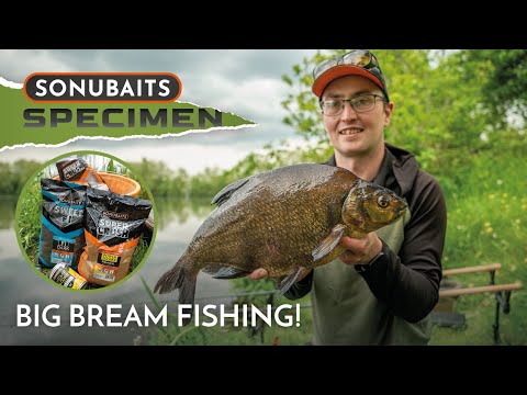 BIG Bream Fishing Tactics! | Harry Pardoe