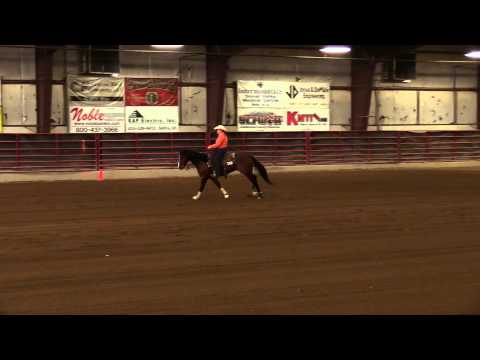 KR Boomin Rock - Tiffany Montgomery - Gelding, IRHA Salina 2015
