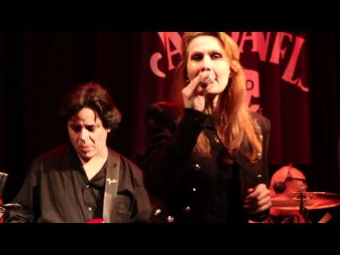 Anja Wessels - Queen Bee