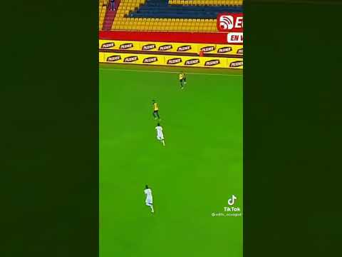 Ecuador gana a Bolivia 3-0 vamos al mundial