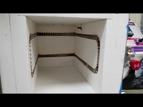 HOTSHOTS FOR MARCH 2019