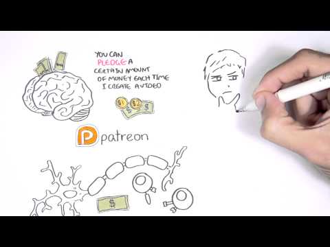 DNA Methylation and Development