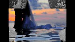 كلمات اغنية كنا حبايب عمرو دياب