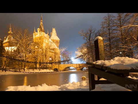 Welcome to Budapest!