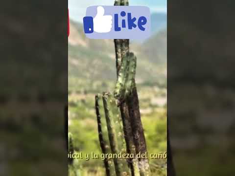 Capitanejo Santander 2025 #videoviral #santander #turismo #colombia #garciarovira #economia #