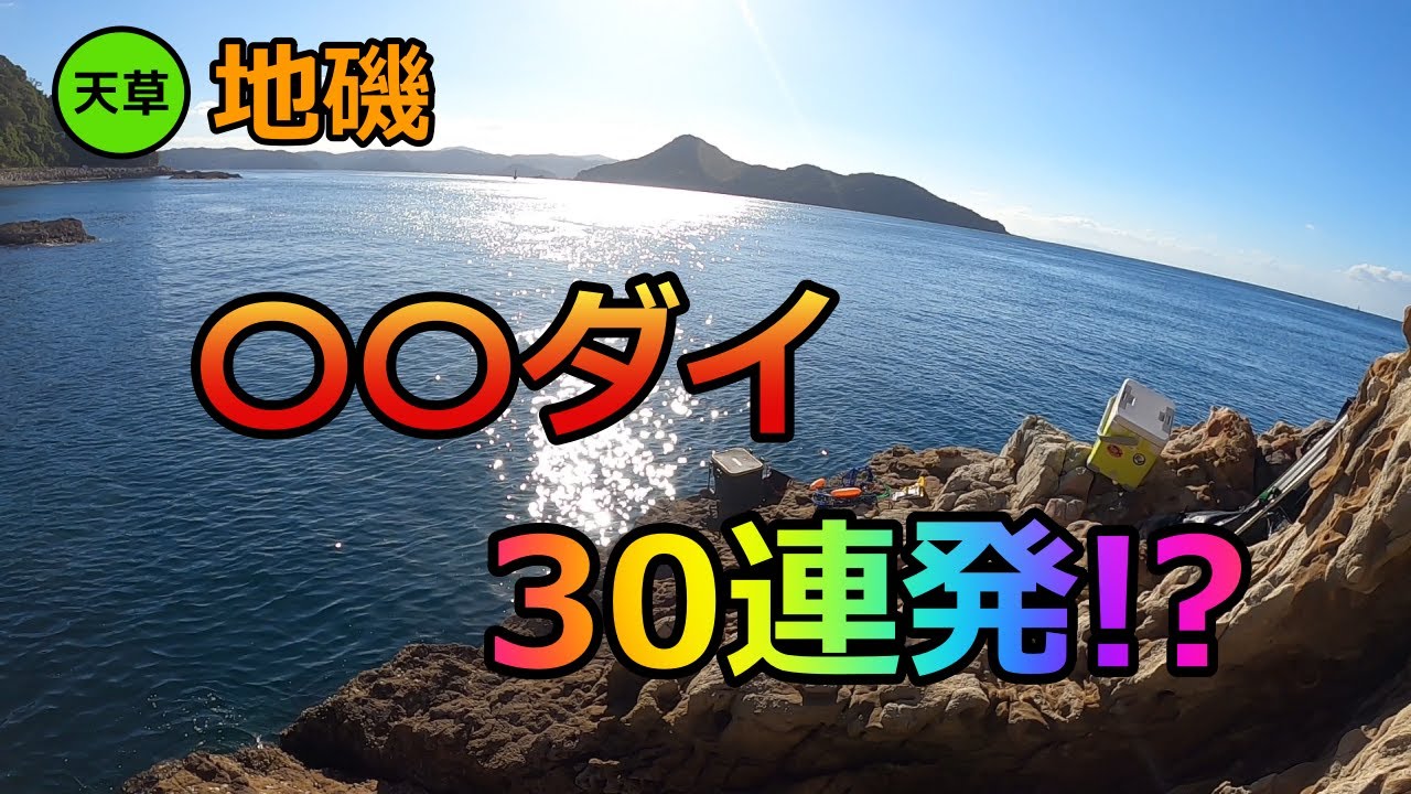 天草の地磯で〇〇ダイが釣れまくりました...。