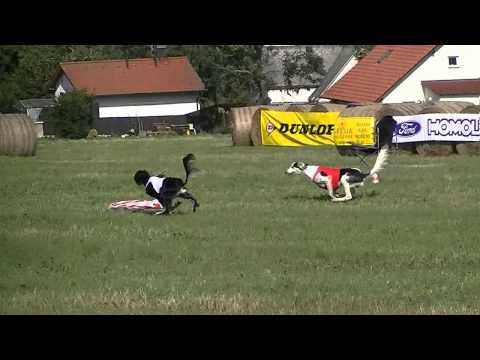 MMČR 25.9.2011 - Tisá 1.část