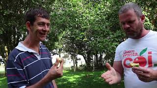Miniatura do vídeo