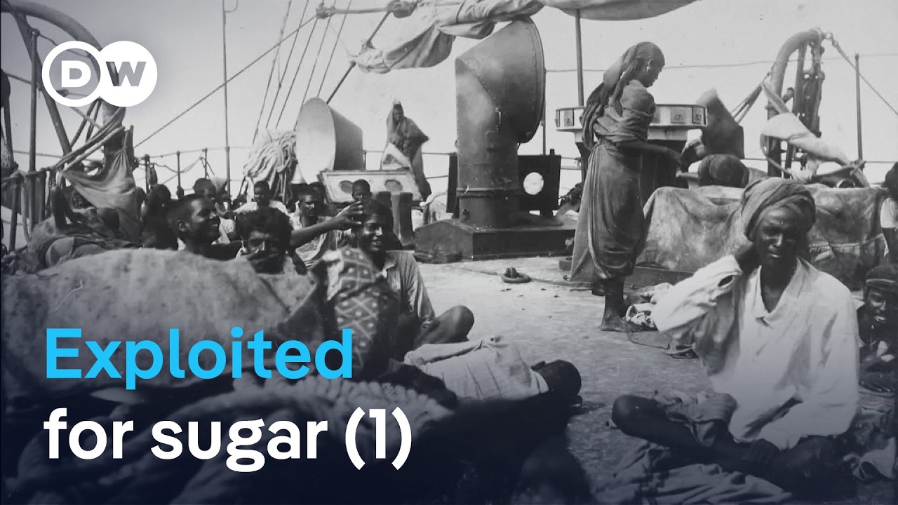 Blood, sweat, and human trafficking: How sugar created slavery (1/2)| DW Documentary