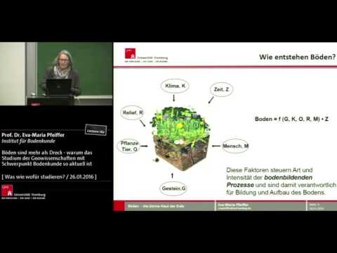 Geowissenschaften an der Universität Hamburgo