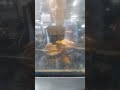 Riproduci video