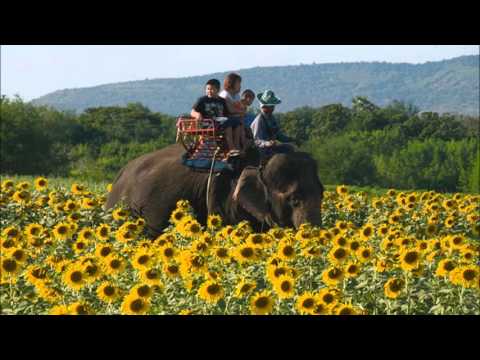 My great grandfather [Talk-Mode]