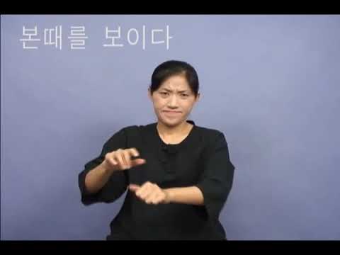 「보이다」의 한국수어 표현