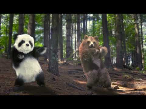 Animal Song (Jungle Dance) | With Panda, Dog, Cats, and a Bear 2025 | By Twiddlie