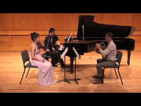 "Twilight Music" (Harbison)- Nomad Trio