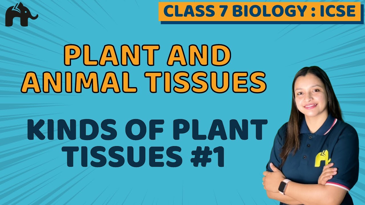 Plant And Animal Tissues Class 7 ICSE Biology | Selina Chapter 1 | Kinds of  Plant Tissues #1