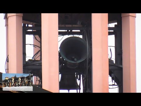 Campane di Arconate (MI) - Distesa completa dopo i restauri