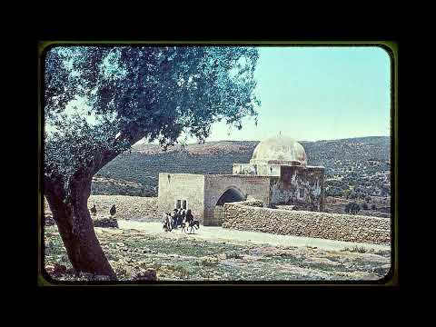 שוב לא נלך (ראי רחל) -  Shuv Lo Nelech (re'i Rachel)