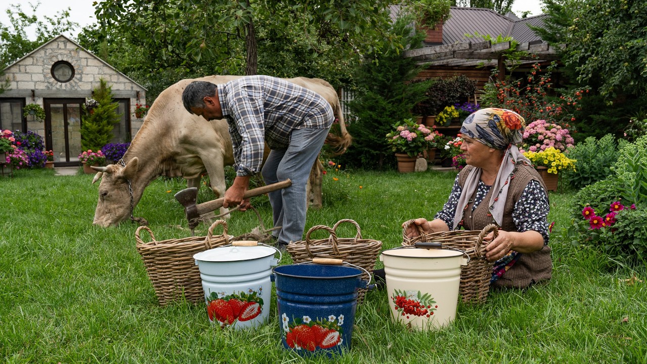 From Fresh Cow Milk to Homemade Cheese & Rustic Cheese Pie | Village Life Cooking 🧀🌿