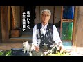 "Finding Calico" OFFICIAL TRAILER (English subtitled)