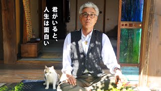 Teacher and Stray Cat (2015) Video