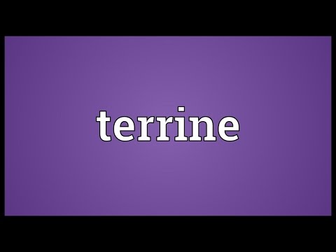 Terrine Meaning