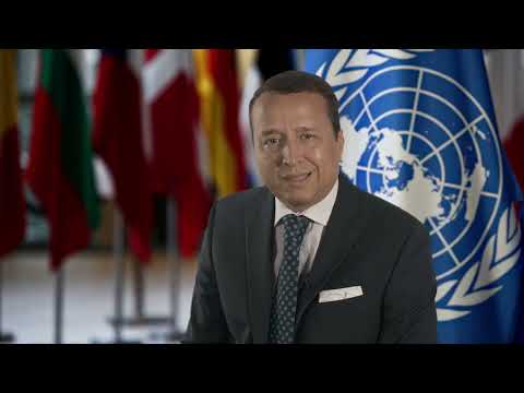 A welcome from Alex Mejia - Director, Division for People and Social Inclusion Head, UNITAR