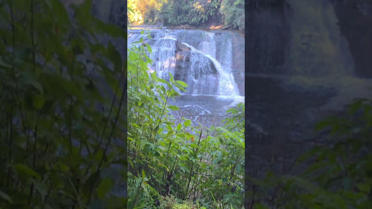 YouTube Short thumbnail