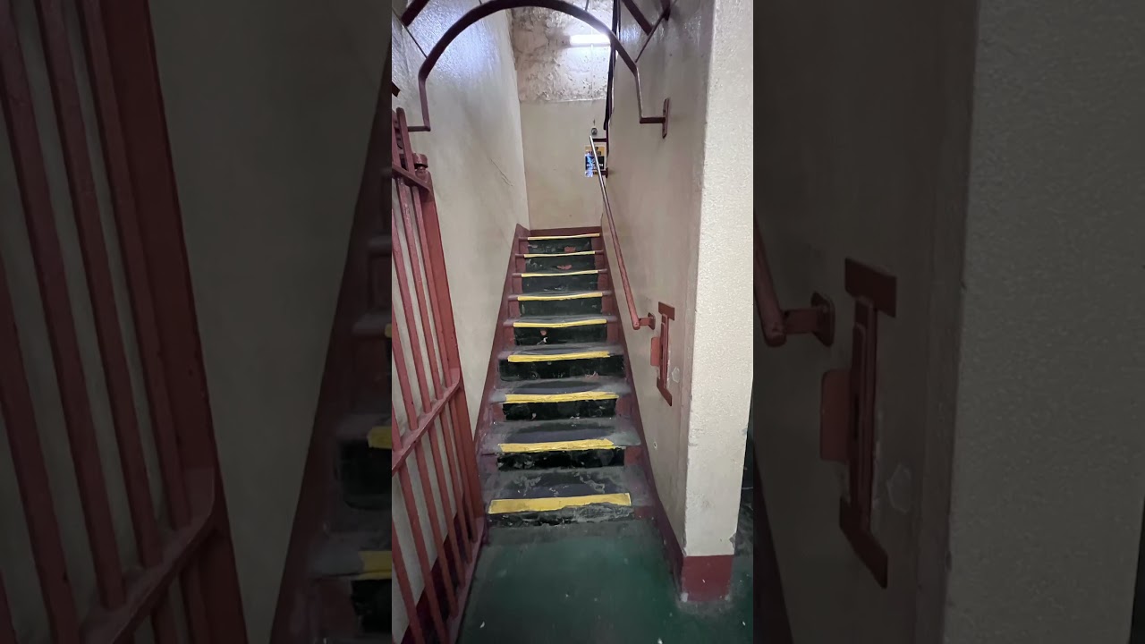 YouTube Short thumbnail