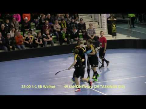 Maalikooste Welhot-LeBa'96 1.2.2017