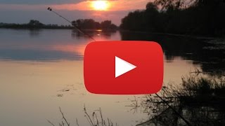 Рыбалка в подмосковье с детьми