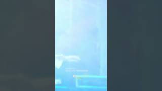 Download lagu Tak Sedalam Ini - Arlida Putri - Happy Loss #shorts #arlidaputri #happyloss #storywa30detik mp3