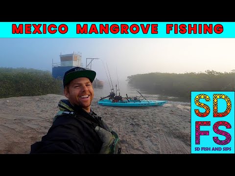 Фото Baja Trippin Ep 3 | Mag Bay Mexico Mangrove Fishing Solo Skiff | Bahia Magdalena November 2021
