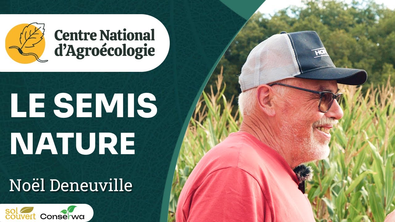 SEMIS NATURE : semer à la volée sans travail du sol, Noël Deneuville - Journée Séguy 2024 - CNA