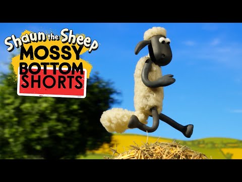 Hay Bale 👨‍🌾 Mossy Bottom Farm Shorts 🐑 #ShauntheSheep