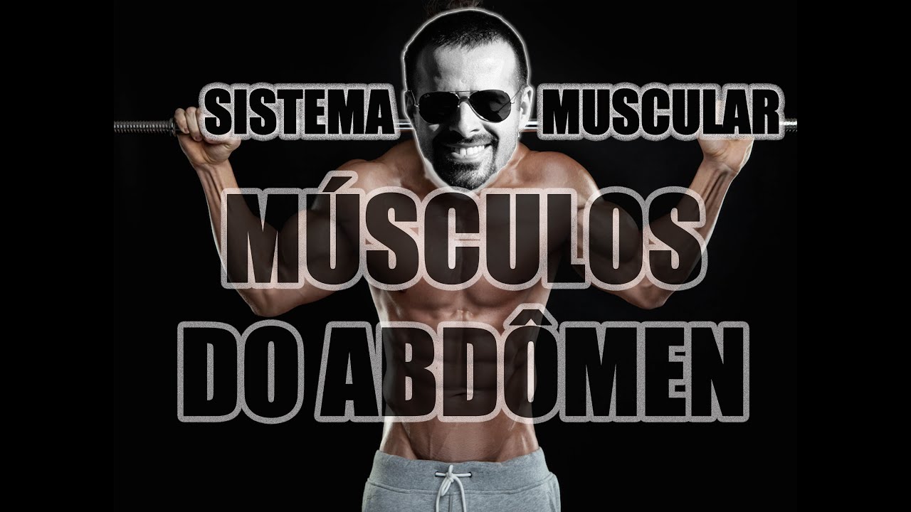 Vídeo Aula 112 - Anatomia Humana - Sistema Muscular: Músculos do Abdômen (Reto Abdominal e Oblíquos)