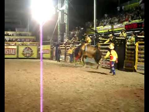 Fabricio Alves x Durango - Girassol.avi