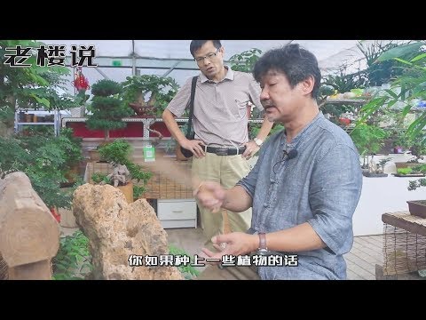 吸水石頭