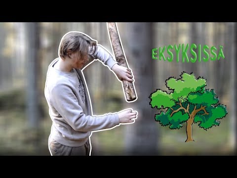 Eksyksissä