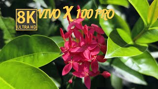 8K Video | VIVO X100 PRO