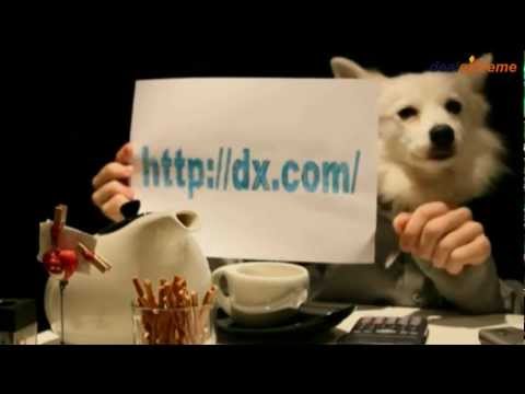 download lagu mp3 mp4 Goodiesforpets, download lagu Goodiesforpets gratis, unduh video klip Goodiesforpets
