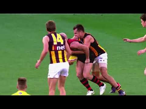 Highlights | Luke Hodge Compilation