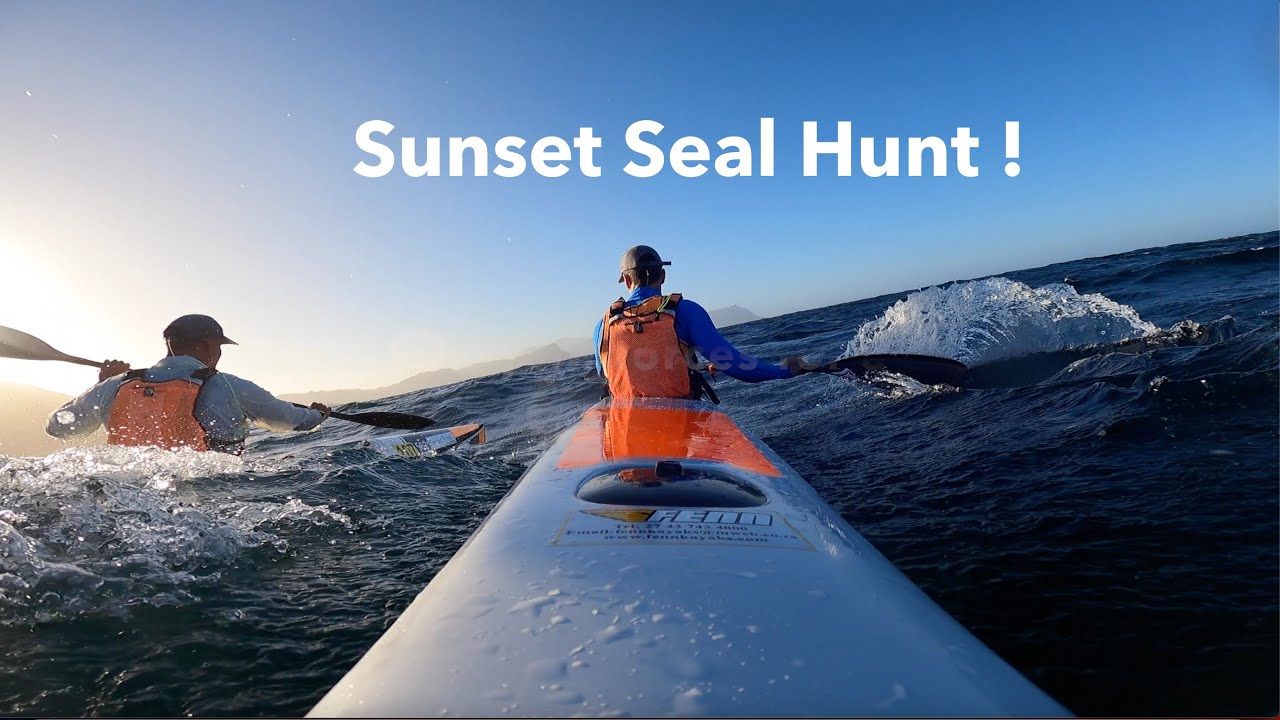 SURF-SKI: Sunset Seal Hunt (Millers #85)