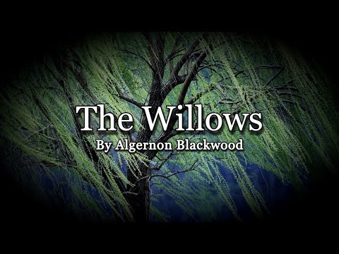 The Willows | Complete Cosmic Horror Story to Relax and Unwind to