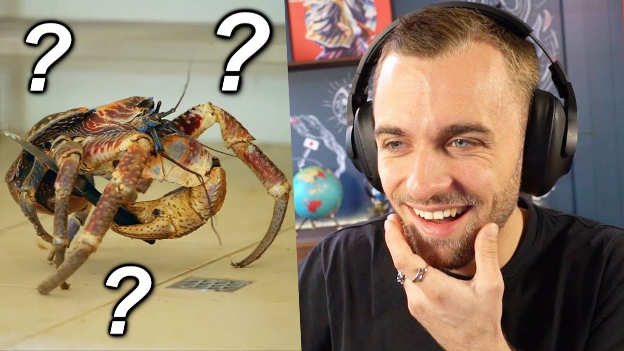 La nature est surprenante (genre ce crabe) thumbnail