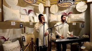 הרשי ויינברגר במפואר יודאיקה