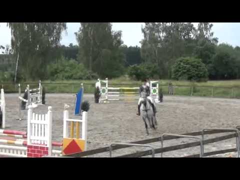 Sportpferde-ASG - Bella Donna M* Springen 2. Platz Weissenhorn 7-2012