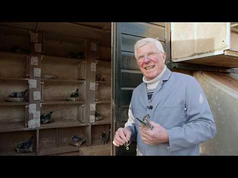 Quick Tips 7 - How to deal with fighting cocks with Willem de Bruijn